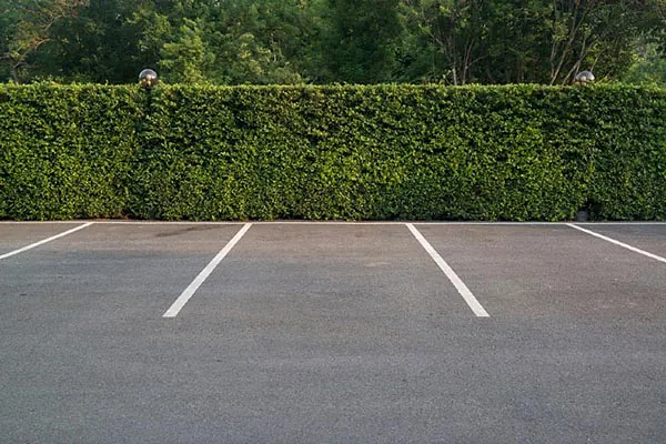 Parkplatzmarkierung und Hecke
